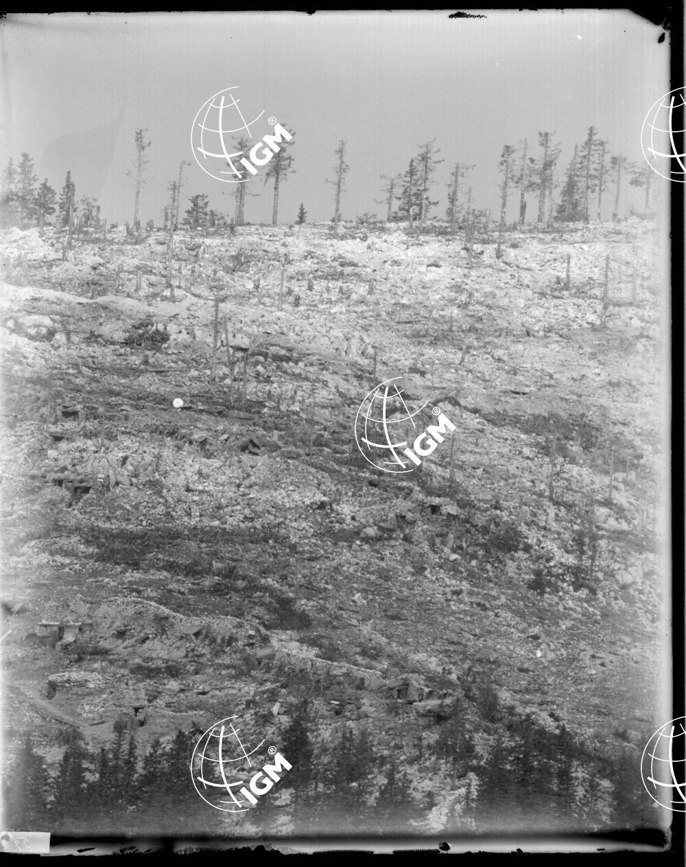 Telefotografia della quota 1706 di Monte Zebio - LN00006367