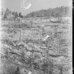 Telefotografia della quota 1706 di Monte Zebio - LN00006368