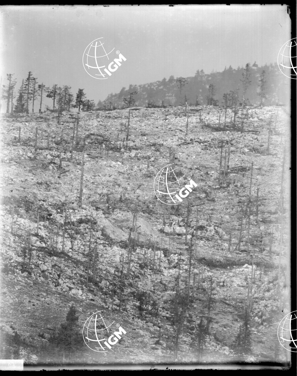 Telefotografia della quota 1706 di Monte Zebio - LN00006368