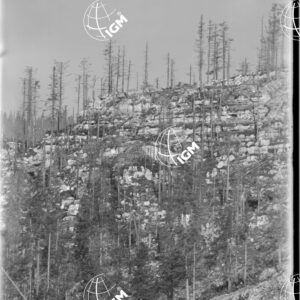 Telefotografia della linea austriaca dello Zebio - LN00006371