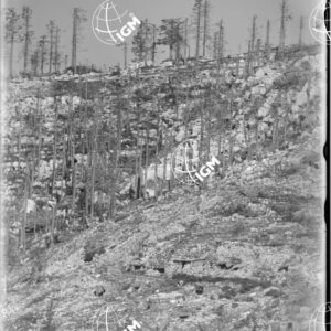 Telefotografia della linea austriaca dello Zebio - LN00006372
