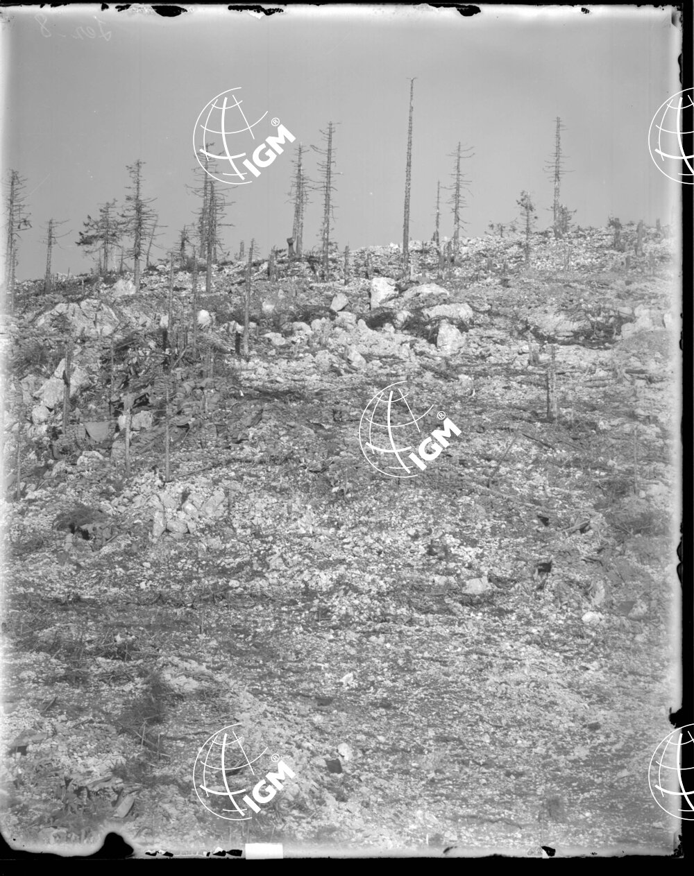 Telefotografia della linea austriaca dello Zebio - LN00006373