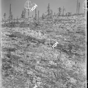 Telefotografia della linea austriaca dello Zebio - LN00006374