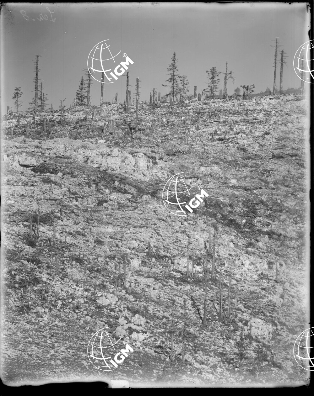 Telefotografia della linea austriaca dello Zebio - LN00006374