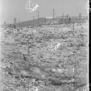 Telefotografia della linea austriaca dello Zebio - LN00006375