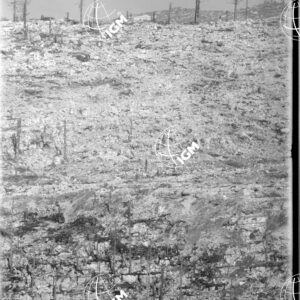 Telefotografia della linea austriaca dello Zebio - LN00006377