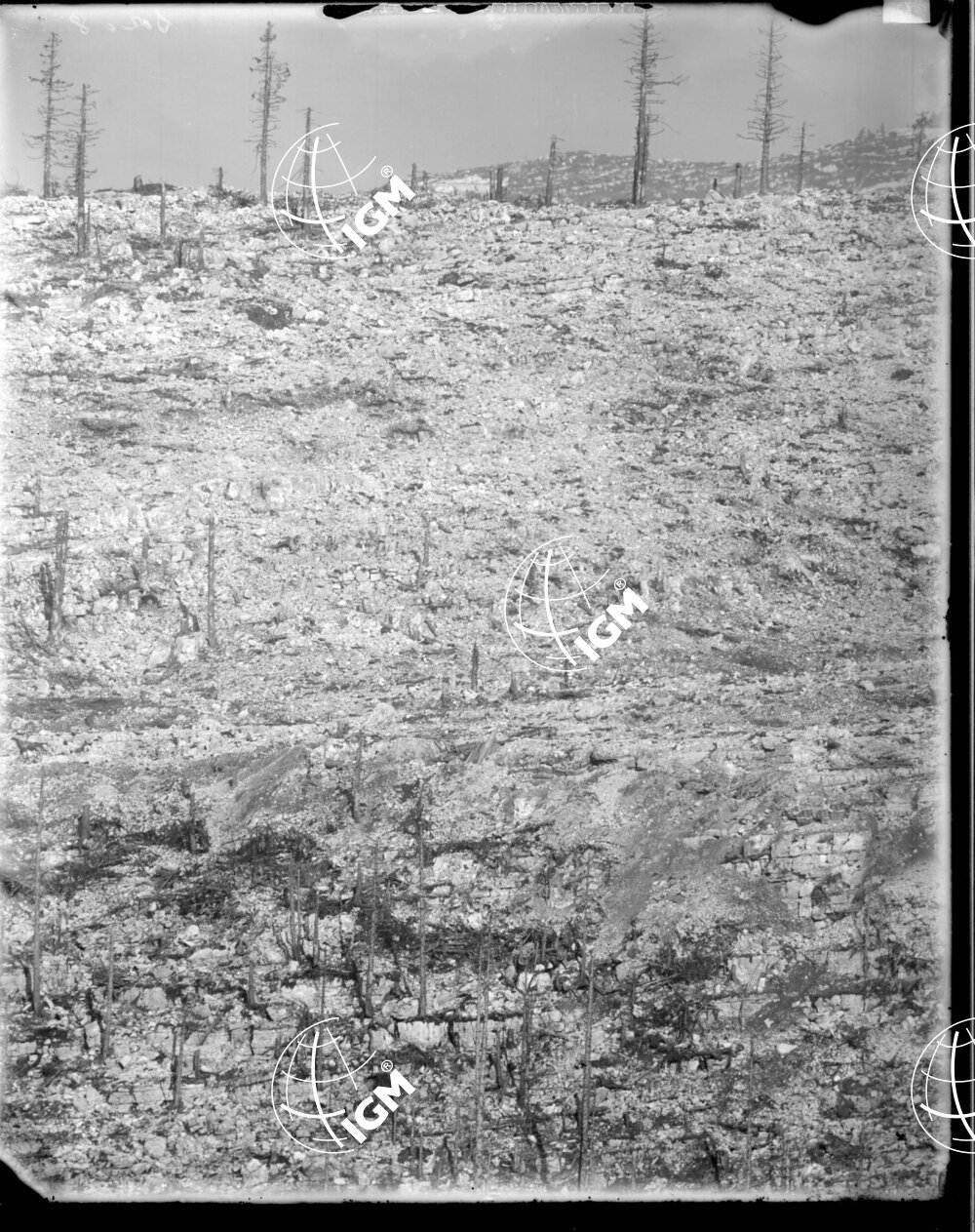 Telefotografia della linea austriaca dello Zebio - LN00006377