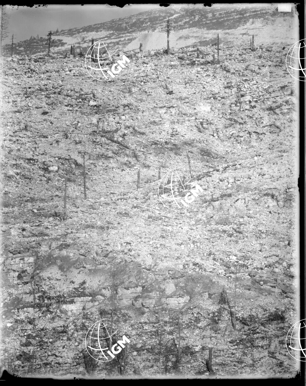 Telefotografia della linea austriaca dello Zebio - LN00006378