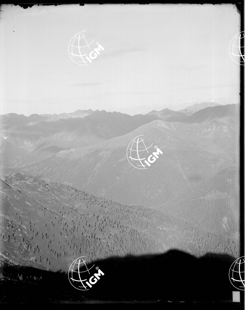 veduta della zona Gruppo del Cimon Rava - Montalon - LN00006391