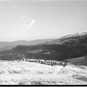 Veduta panoramica dell'altipiano della Marcesina - LN00006414