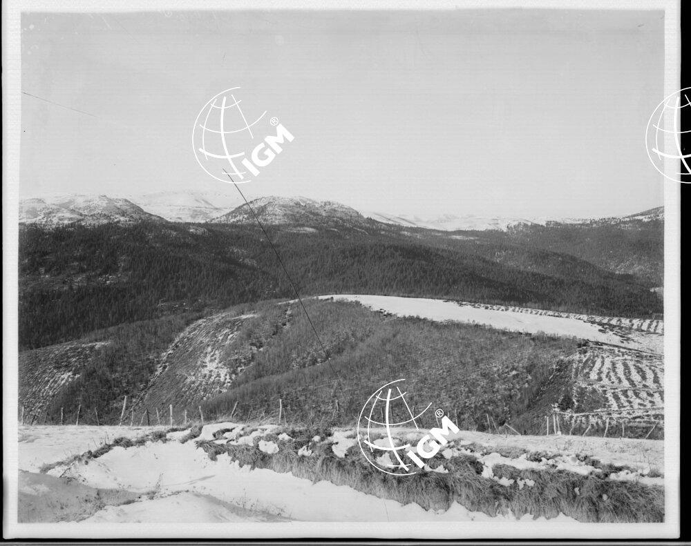 Veduta panoramica dell'altipiano della Marcesina - LN00006415
