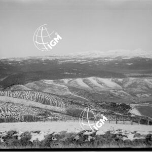 Veduta panoramica dell'altipiano della Marcesina - LN00006416