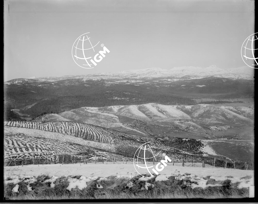 Veduta panoramica dell'altipiano della Marcesina - LN00006416