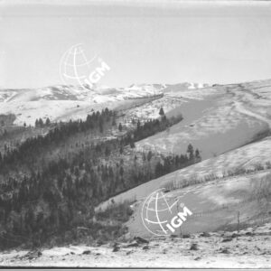 Veduta panoramica della zona Col del Miglio-Col Fenilon - LN00006427