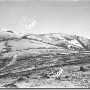 Veduta panoramica della zona Col del Miglio-Col Fenilon - LN00006428