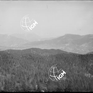Altopiano di Asiago - LN00006490