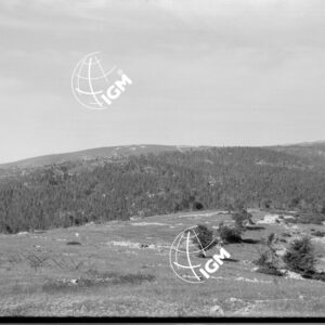 Veduta panoramica della zona Monte Bertiaga e Gruppo delle Melette - LN00006511