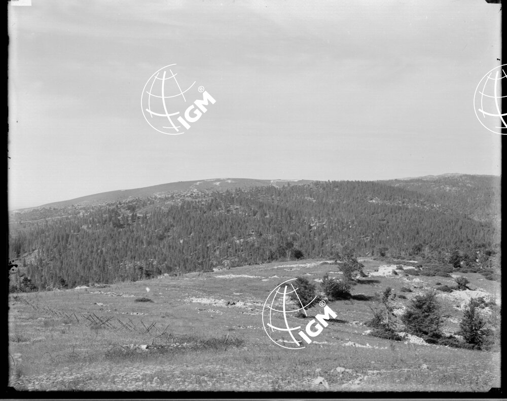Veduta panoramica della zona Monte Bertiaga e Gruppo delle Melette - LN00006511