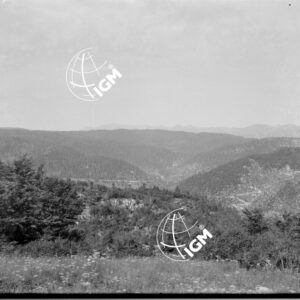Veduta panoramica della zona Monte Bertiaga e Gruppo delle Melette - LN00006512