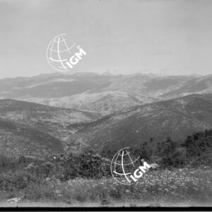 Veduta panoramica della zona Monte Bertiaga e Gruppo delle Melette - LN00006514