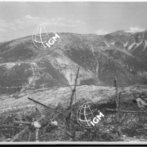 Veduta panoramica della zona Monte Sisemol e Bordenecche - LN00006518