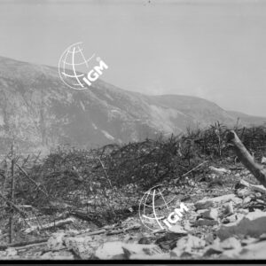 Veduta panoramica della zona Monte Sisemol e Bordenecche - LN00006519