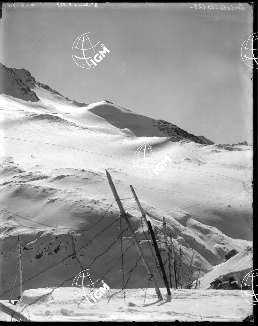 Serie Stelvio N. 4-A Panorama dalla Korspitz al M.te Scorluzzo - LN00006653