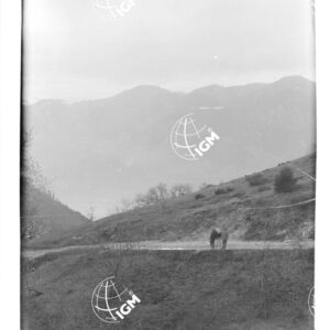 Veduta panoramica del Passo d'Idria - LN00006787