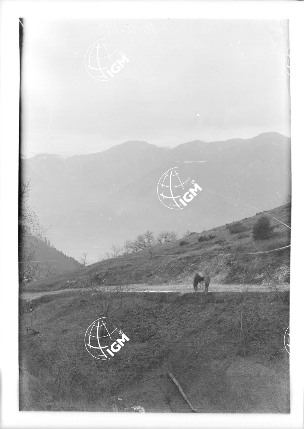 Veduta panoramica del Passo d'Idria - LN00006787