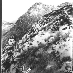Veduta Panoramica da M. Antelao ai M. Terza - LN00006830