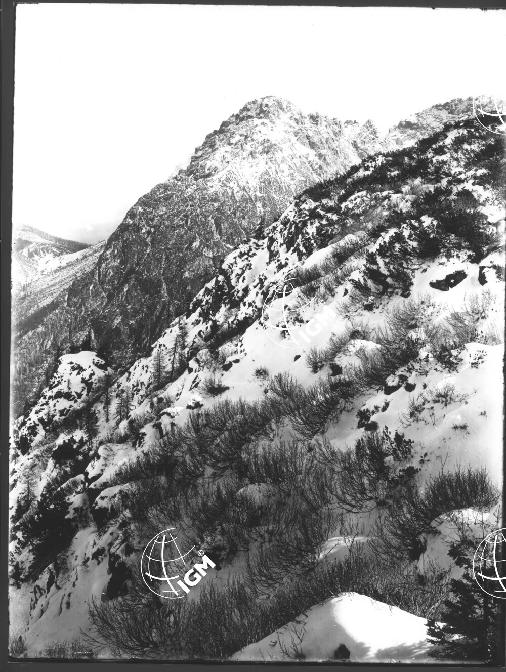 Veduta Panoramica da M. Antelao ai M. Terza - LN00006830