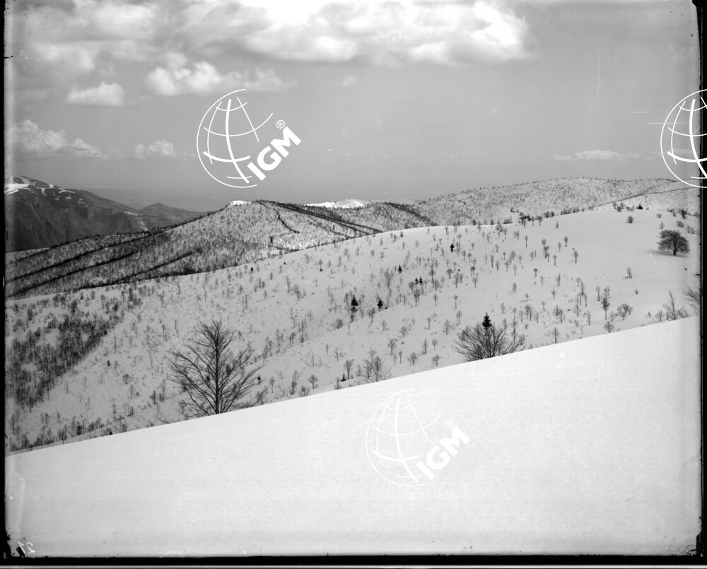 Veduta panoramica a giro di monte - LN00006865