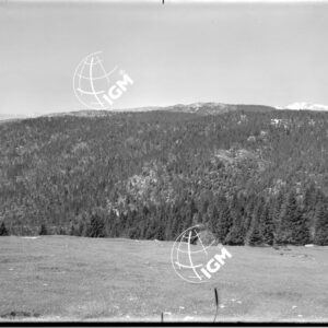 Veduta panoramica da M. Bertiaga q. 1356 - LN00006885