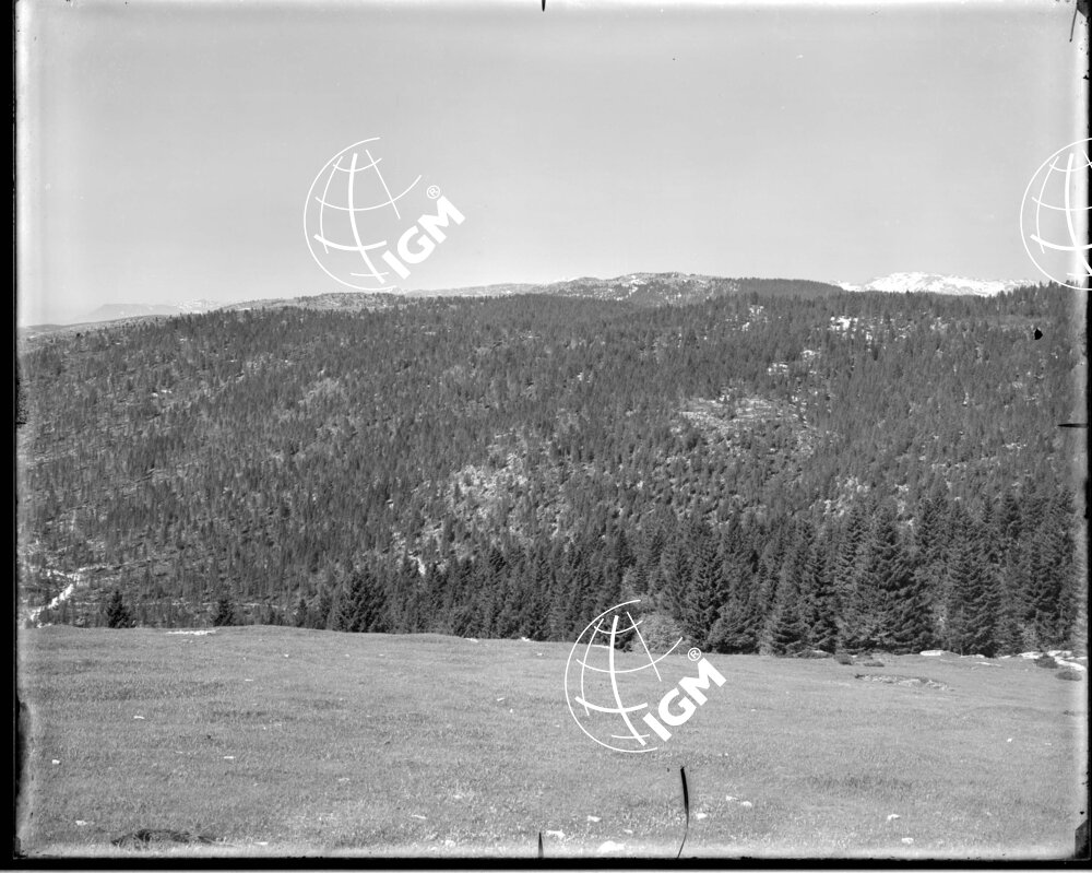 Veduta panoramica da M. Bertiaga q. 1356 - LN00006885
