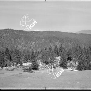 Veduta panoramica da M. Bertiaga q. 1356 - LN00006886