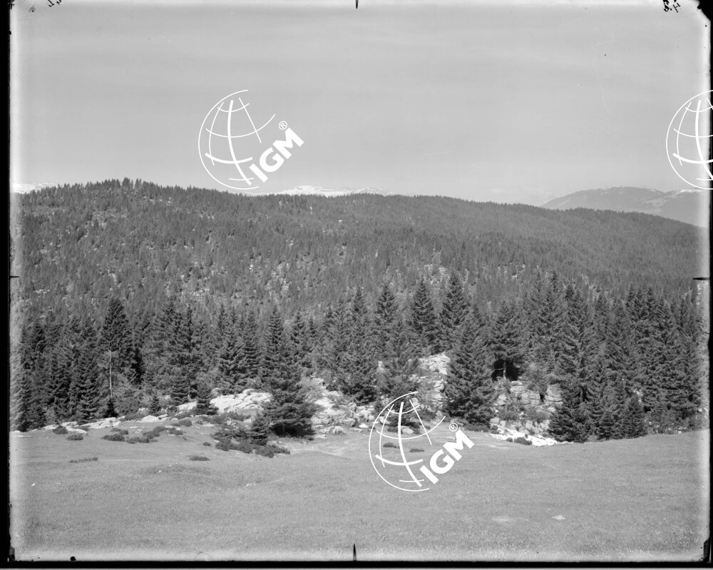 Veduta panoramica da M. Bertiaga q. 1356 - LN00006886