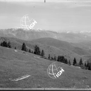 Veduta panoramica da M. Bertiaga q. 1356 - LN00006889