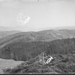 Veduta panoramica da M. Bertiaga q. 1356 - LN00006890