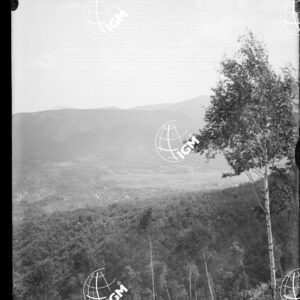 M. Mezzano quota m. 930 - LN00007018