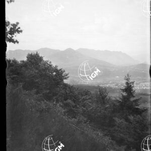 M. Bedea quota m.930 - LN00007019