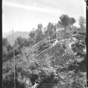 M. La Sighignola (1319) - LN00007054