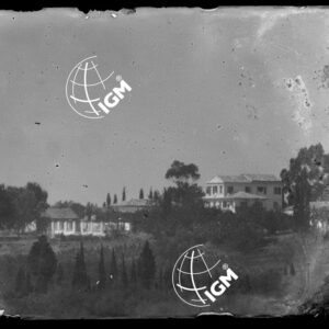 senza titolo - LN00009148