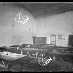 Scuola - LN00009246