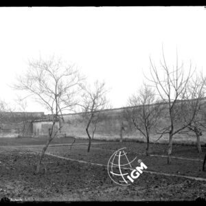 Orvieto - orto - LN00009250
