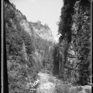 Corno d'Aquilio dalle Fosse - LN00009569