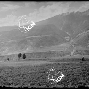 Conoide di Gofland - LN00009593