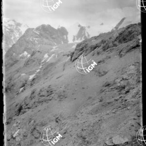 Tourniqués dello Stelvio - LN00009601