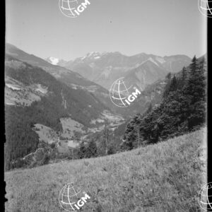 S. Leonardo - LN00009621