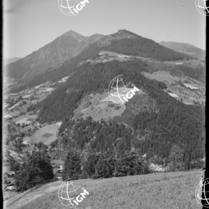 S. Leonardo - LN00009622