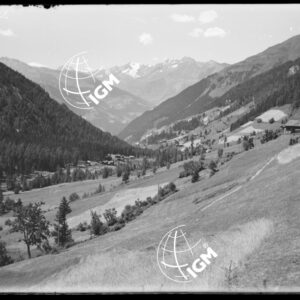 Altissima - LN00009626